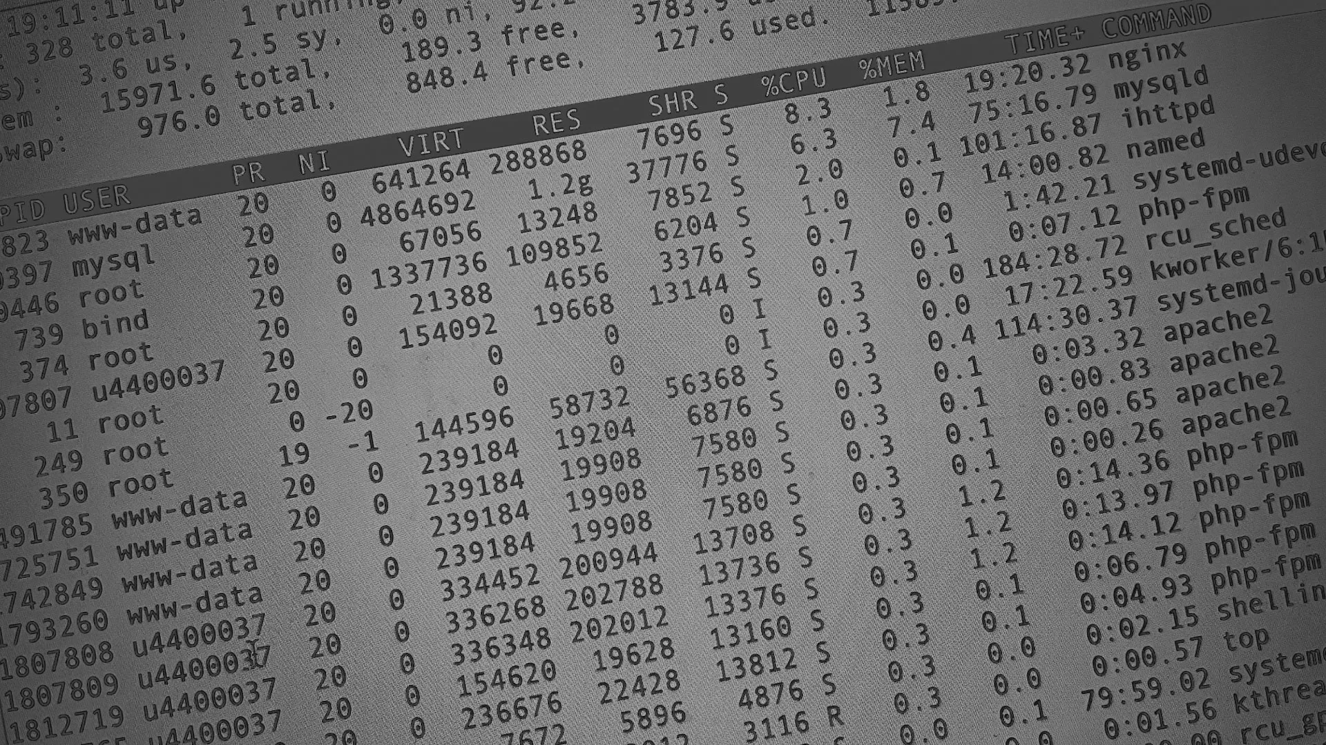 Настройка сервера в Куртамыше