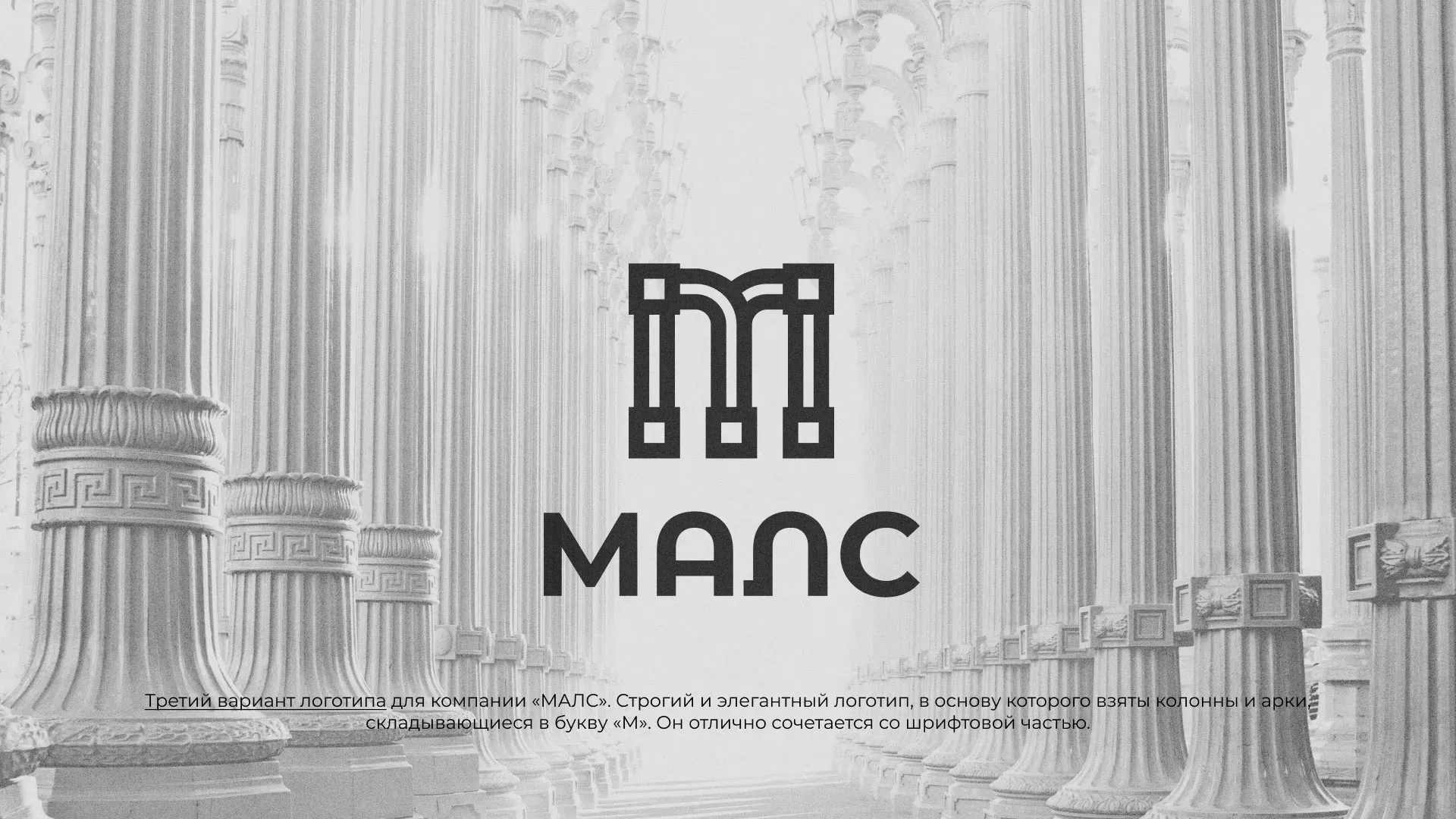 Разработка логотипа компании «МАЛС» в Куртамыше