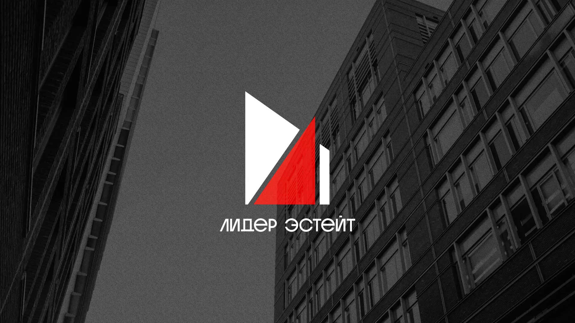 Сделали логотип для агентства недвижимости «Лидер Эстейт» в Куртамыше